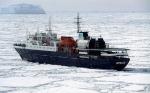 Image: Ortelius - Antarctic cruises, Antarctica