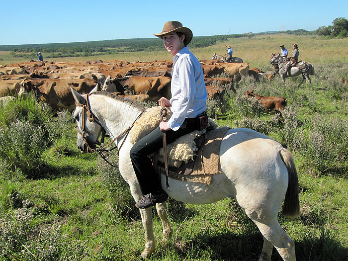 AR0411OF182_estancia-santa-cecilia-cattle-drive-oli.jpg [© Last Frontiers Ltd]