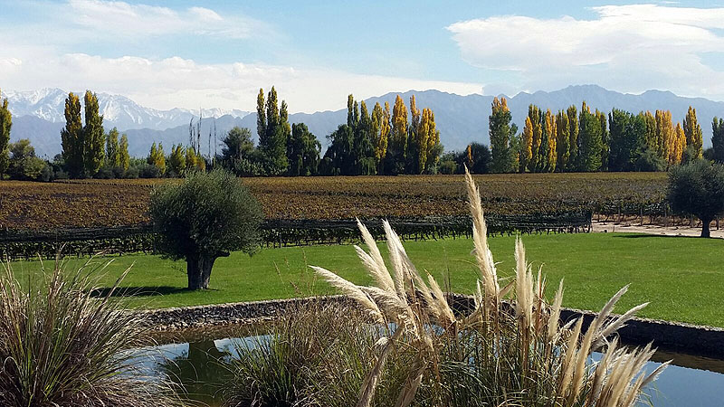 AR0416AB273_mendoza-melipal-winery.jpg [© Last Frontiers Ltd]