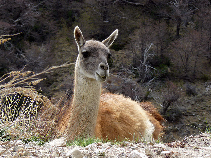 AR0909EP284_esquel-la-hoya.jpg [© Last Frontiers Ltd]