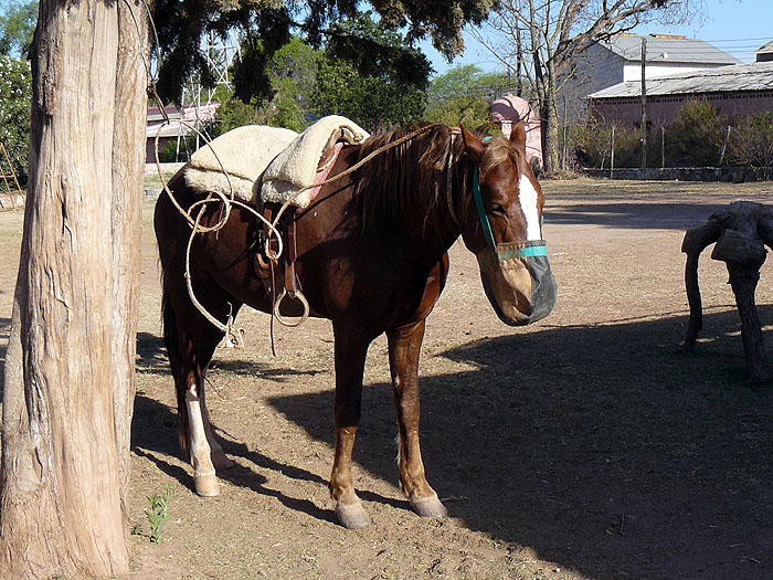 AR0914SM0424_finca-santa-anita-coronel-moldes.jpg [© Last Frontiers Ltd]