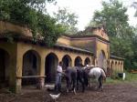 Image: Santa Rita - The Pampas, Argentina