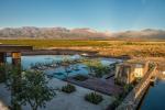 Image: The Vines - Mendoza, Argentina