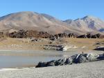 Image: Laguna Blanca - Altiplano