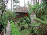 Image: Five Sisters - The Highlands, Belize