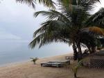 Image: Robert's Grove - Dangriga, Placencia and Punta Gorda, Belize