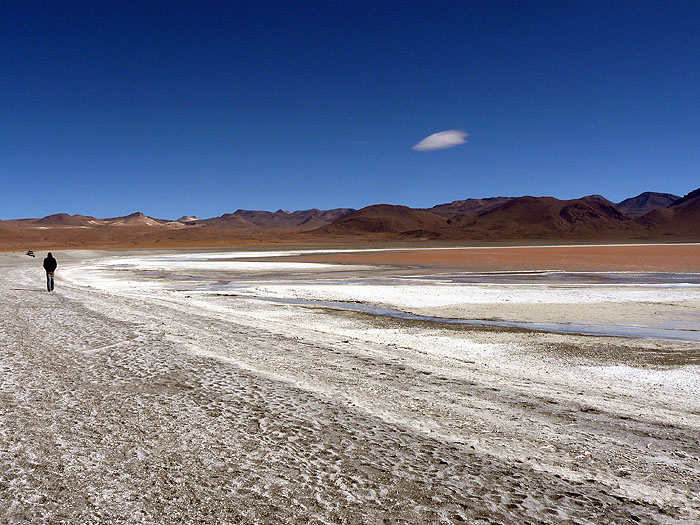 BO0609RB119_laguna_colorado.jpg [© Last Frontiers Ltd]