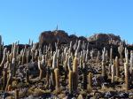 Image: Isla Pescadores - Salar de Uyuni and the southern deserts