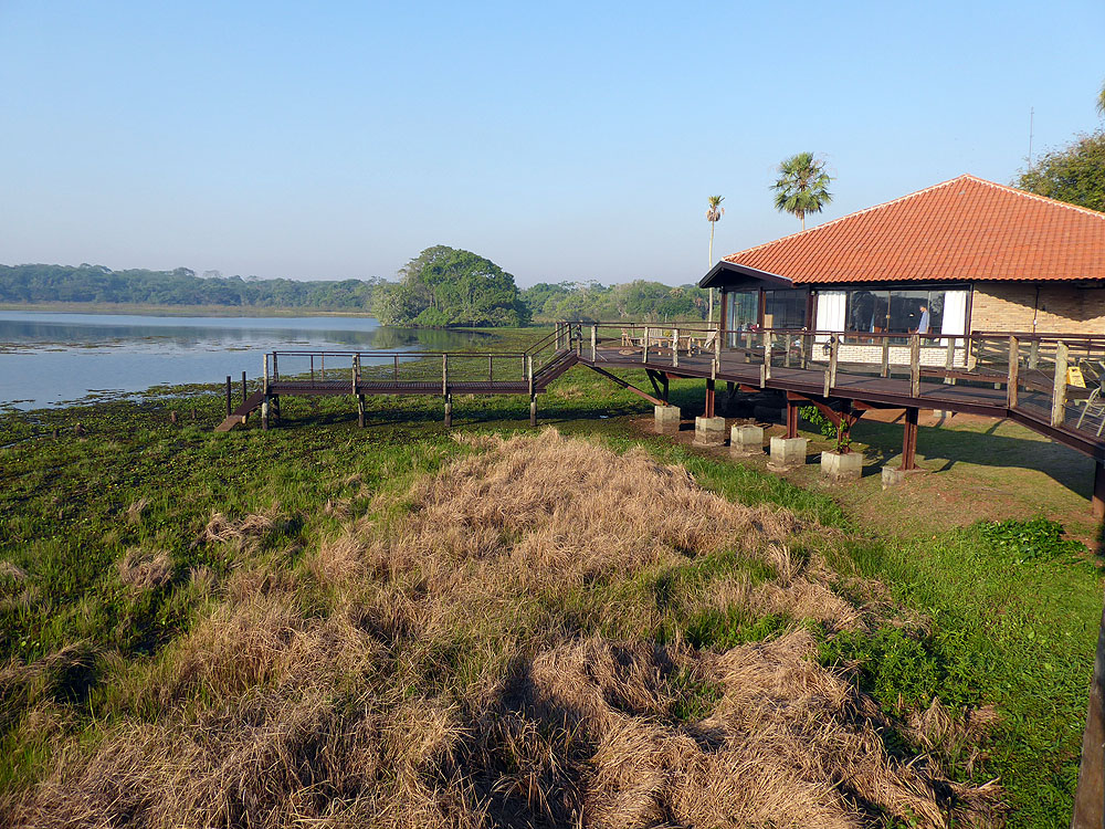 368BR1910SM_pantanal-caiman-baiazinha.jpg [© Last Frontiers Ltd]