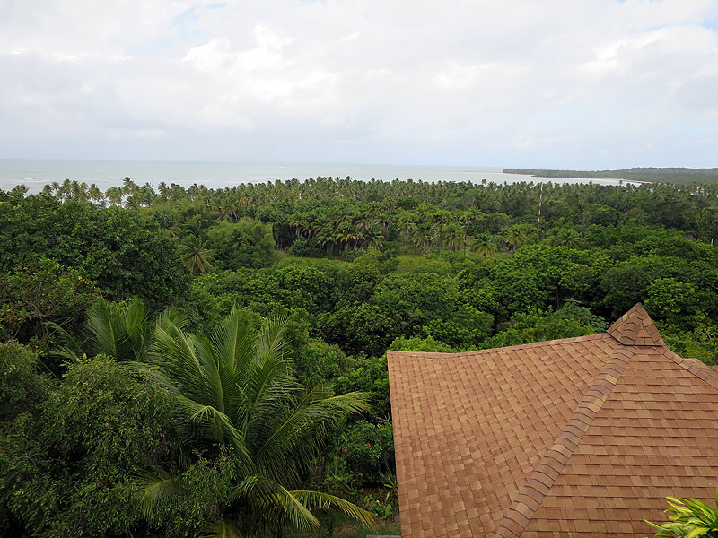 BR0515CF0619-mangabeiras-boipeba.jpg [© Last Frontiers Ltd]