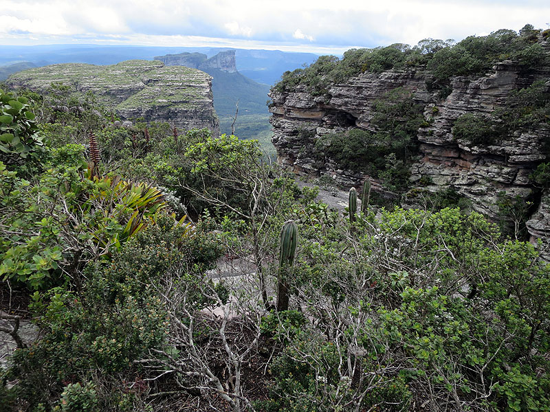 BR0515CF0825_pai-ignacio-chapada-diamantina.jpg [© Last Frontiers Ltd]