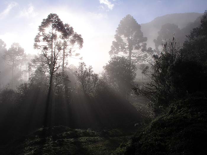 BR0904EP091_rio_canoas.jpg [© Last Frontiers Ltd]