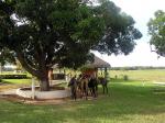 Image: Pousada Piuval - Pantanal lodges, Brazil