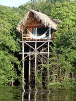 Image: Juma Lodge - Amazon lodges and cruises, Brazil