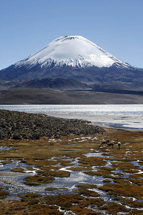 CH0508EM1081_lauca-national-park.jpg [© Last Frontiers Ltd]