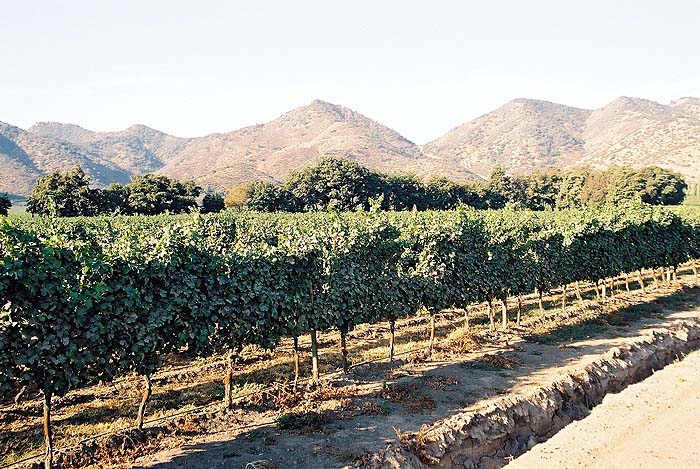 CHAP_5af_Inspecting_Sta_Rita_wine_estate.jpg [© Last Frontiers Ltd]