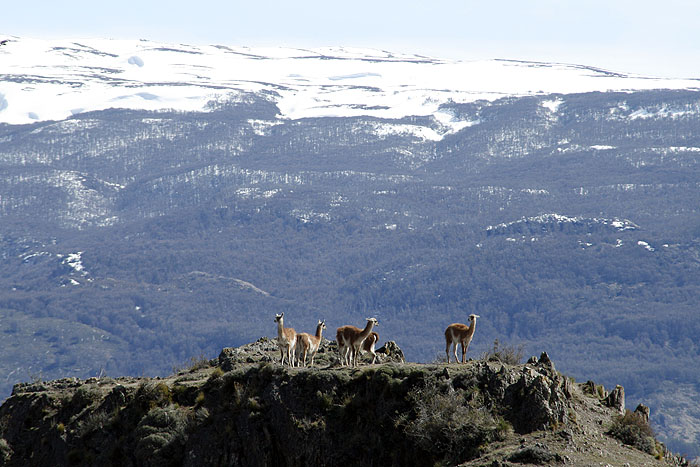 CL0909EM451_patagonia-park.jpg [© Last Frontiers Ltd]