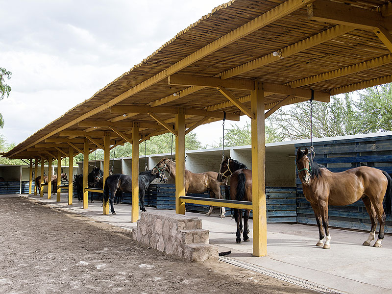 CL15EX01_explora-atacama-stables.jpg [© Last Frontiers Ltd]