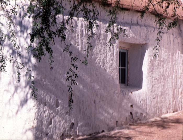 Ray_Reeves_Chile_window.jpg [© Last Frontiers Ltd]