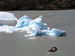 Image: Glacier Grey - Torres del Paine