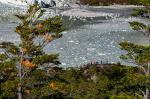 Image: Pia glacier - Punta Arenas and Puerto Williams