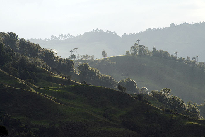 CO0208EM156_cocora_valley.jpg [© Last Frontiers Ltd]