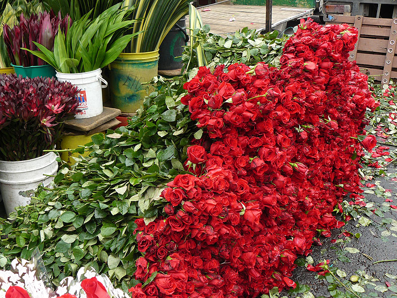 CO0517SM113_bogota-local-market-la-plaza-de-mercado-paloquemao.jpg [© Last Frontiers Ltd]