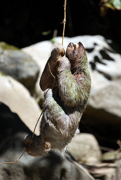 CR0508SM109_pacuare-rafting_17.jpg [© Last Frontiers Ltd]