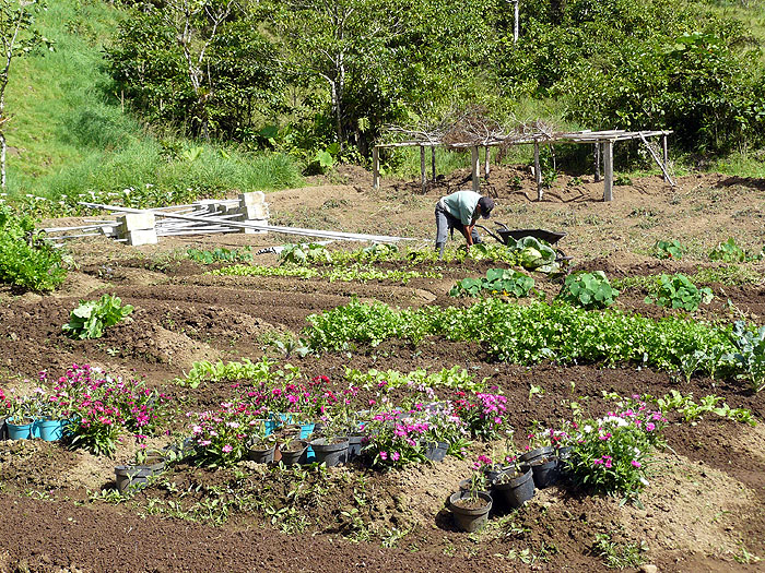 CR0508SM163_el-silencio-lodge.jpg [© Last Frontiers Ltd]