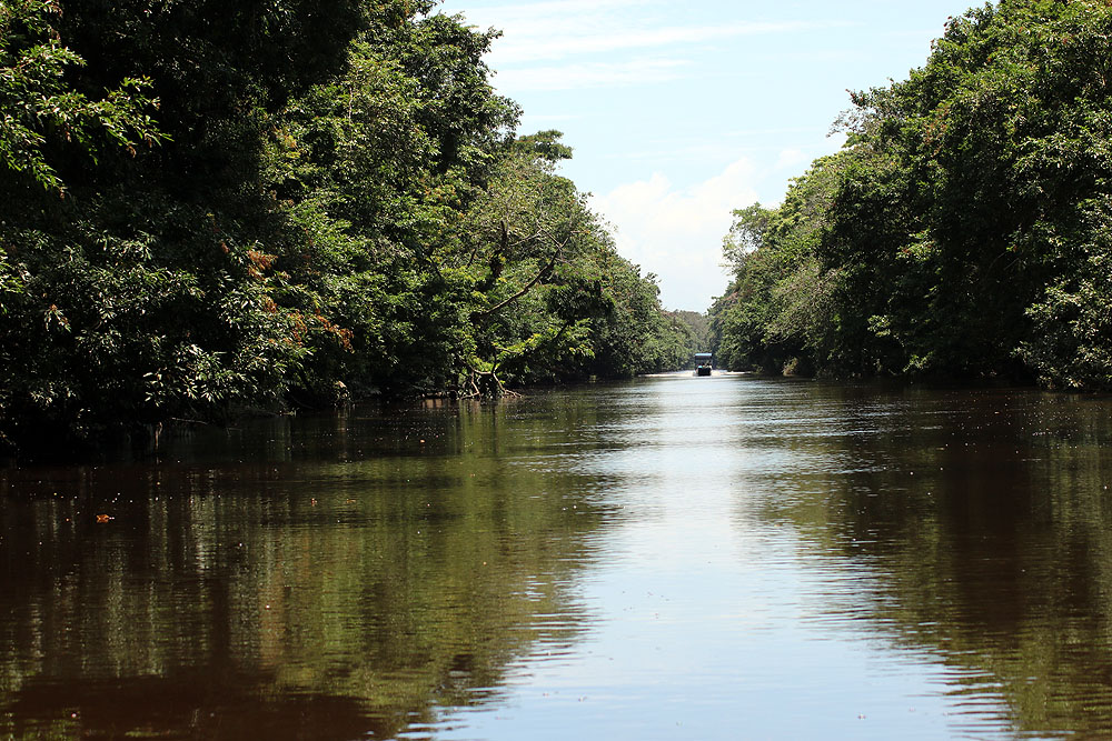 CR0519LD033_tortuguero.jpg [© Last Frontiers Ltd]