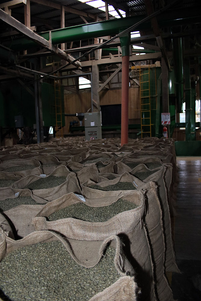 CR0519LD164_turrialba-aquiares-coffee-estate.jpg [© Last Frontiers Ltd]