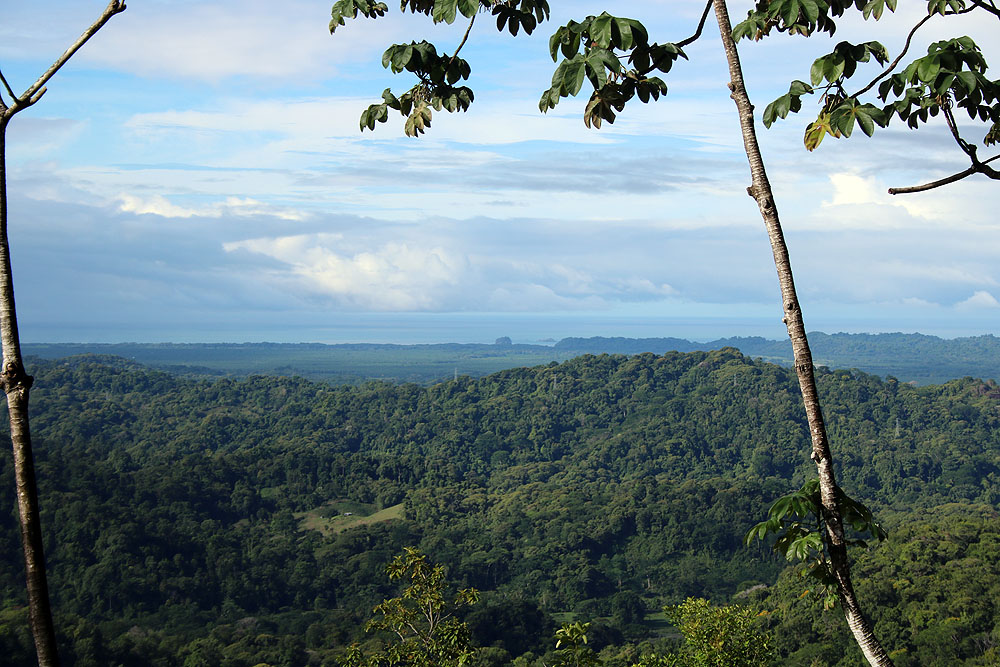 CR0519LD615_quepos-santa-juana-lodge.jpg [© Last Frontiers Ltd]