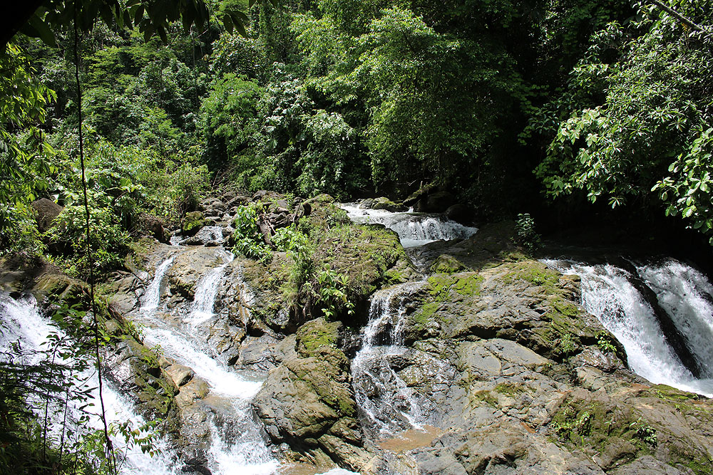 CR0519LD647_quepos-santa-juana-tour.jpg [© Last Frontiers Ltd]