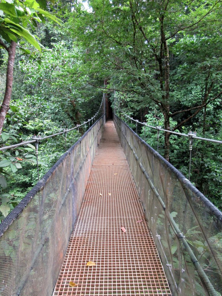 CR2405PC050_el-remanso-suspension-bridge.jpg [© Last Frontiers Ltd]