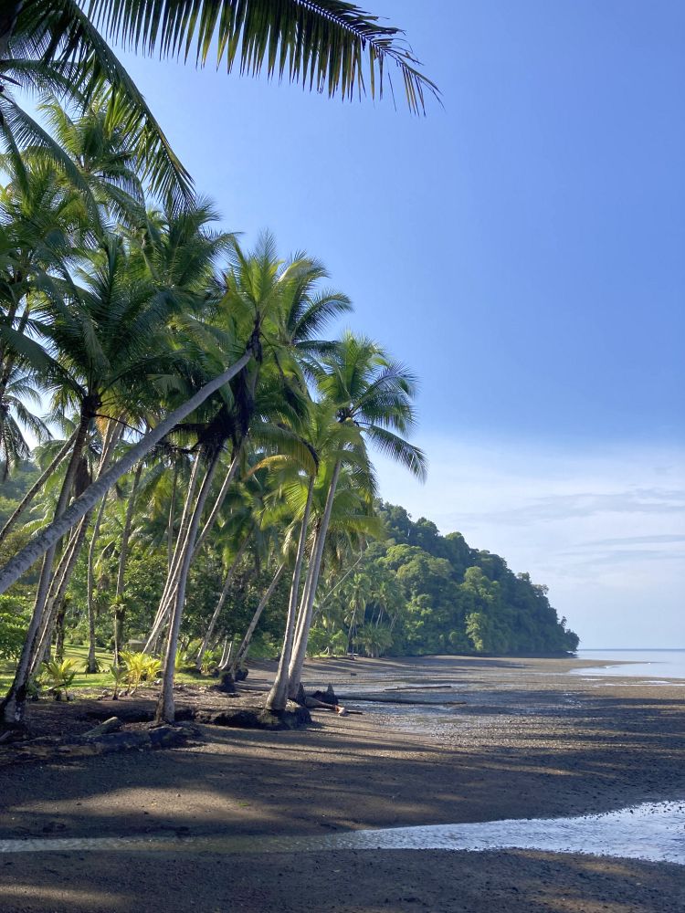 CR2405PC092_playa-cativo-beach.jpg [© Last Frontiers Ltd]