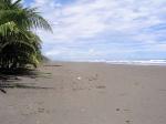 Image: Xandari Pacfico - Manuel Antonio and Uvita, Costa Rica