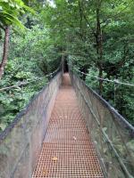 Image: El Remanso - The Osa Peninsula, Costa Rica