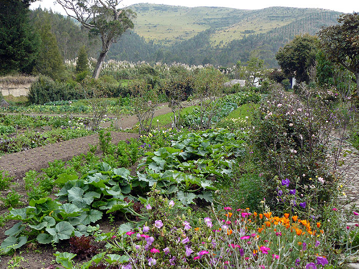 EC0310SM022_zuleta-kitchen-garden.jpg [© Last Frontiers Ltd]