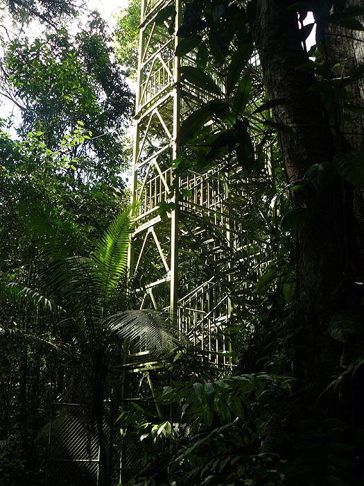 EC0913CB381_yasuni-napo-wildlife-centre.jpg [© Last Frontiers Ltd]