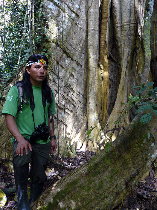 EC0913CB382_yasuni-napo-wildlife-centre.jpg [© Last Frontiers Ltd]