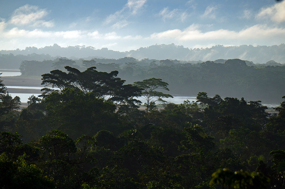 EC1018HG545_sacha-lodge-canopy-tower.jpg [© Last Frontiers Ltd]