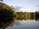 Image: La Selva - The Amazon