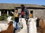 Image: San Agustn - Cotopaxi and Papallacta