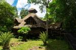 Image: Sacha Lodge - The Amazon, Ecuador