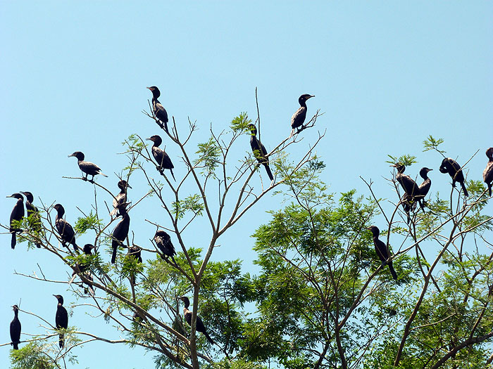 SV0913SM0321_lake-suchitlan-isla-de-los-pajaros.jpg [© Last Frontiers Ltd]