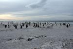 Image: Sea Lion Island - East Falkland