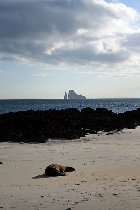 GP0608ED603_san-cristobal-cerro-brujo-beach.jpg [© Last Frontiers Ltd]