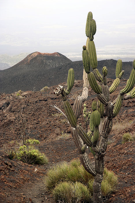 GP0908EP152_isabela-sierra-negra.jpg [© Last Frontiers Ltd]