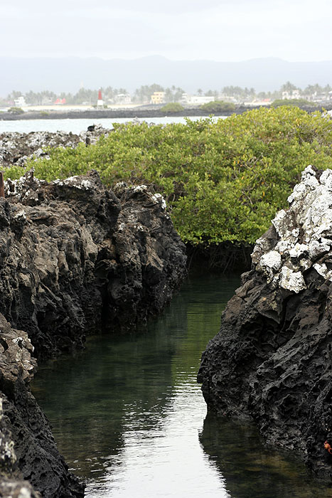 GP0908EP222_isabela-las-tintoreras.jpg [© Last Frontiers Ltd]