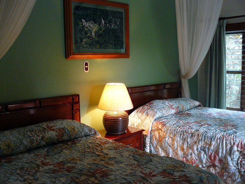 GU1014FD297_standard-room-jungle-lodge-tikal.jpg [© Last Frontiers Ltd]